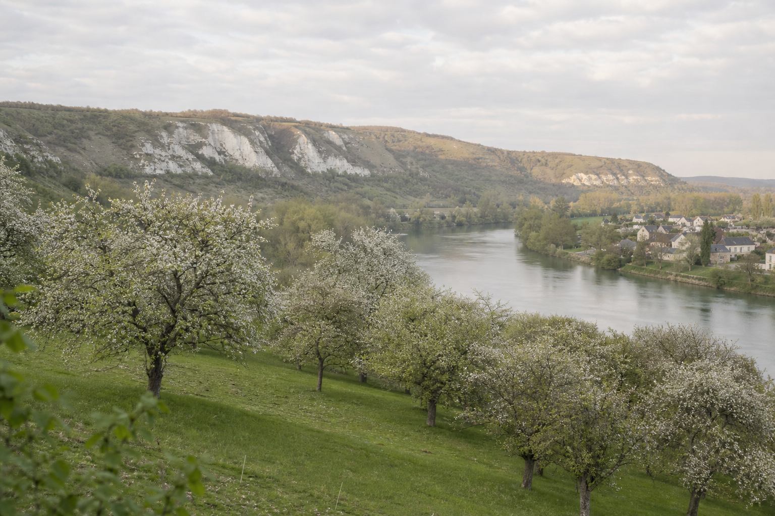 Obstgärten und Flusstal im weichen Frühlingslicht